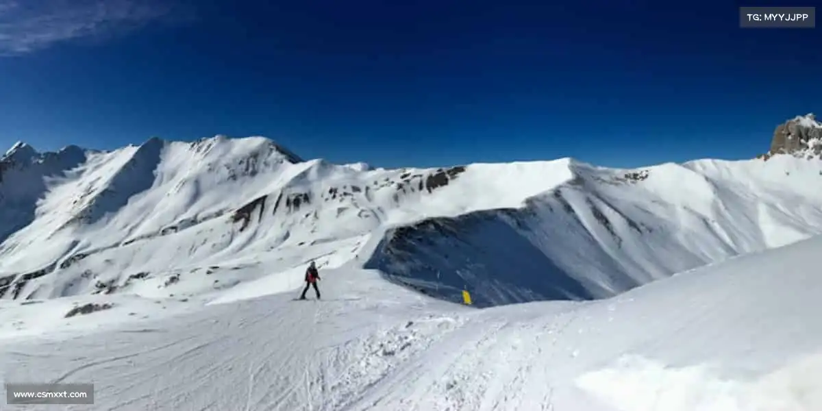 最新在线吃瓜爆料📸 用匠心打磨作品，用真诚打动观众，让影视之光照亮生活